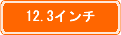 12.3インチ