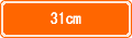 31cm